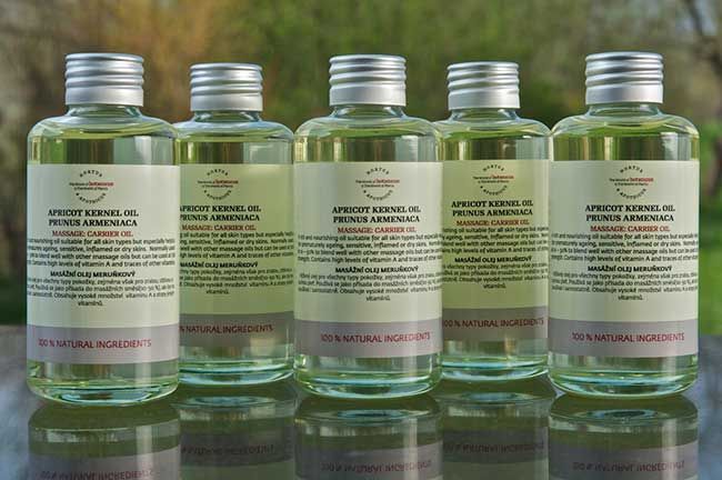 Orthomolekulare Medizin